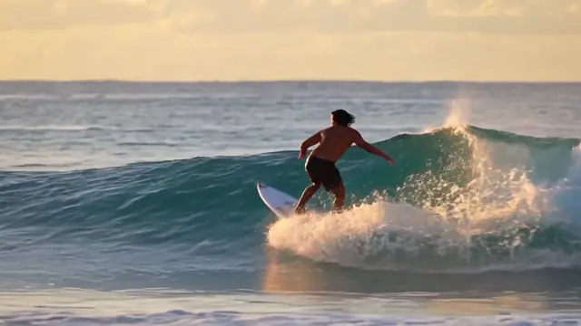 Frame from the AI video result for the prompt: Golden hour surf: a surfer carving a glassy wave, backlit spray, slow motion